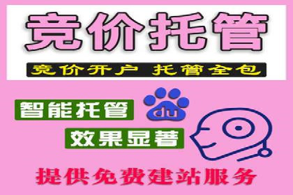 SEM竞价推广实战：快速提升关键词排名案例